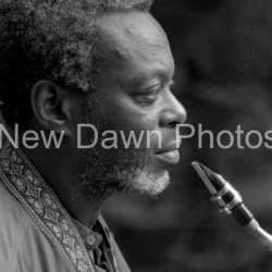 Dewey Redman